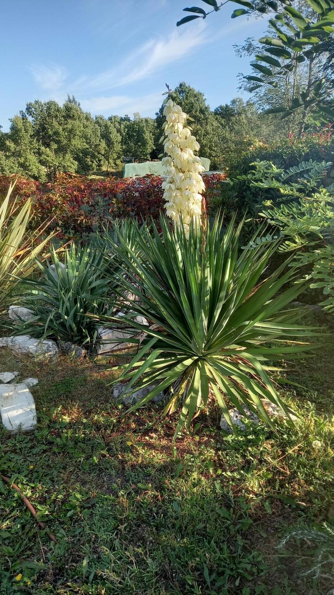 Villa Malini โกรชน์ยัน ภายนอก รูปภาพ
